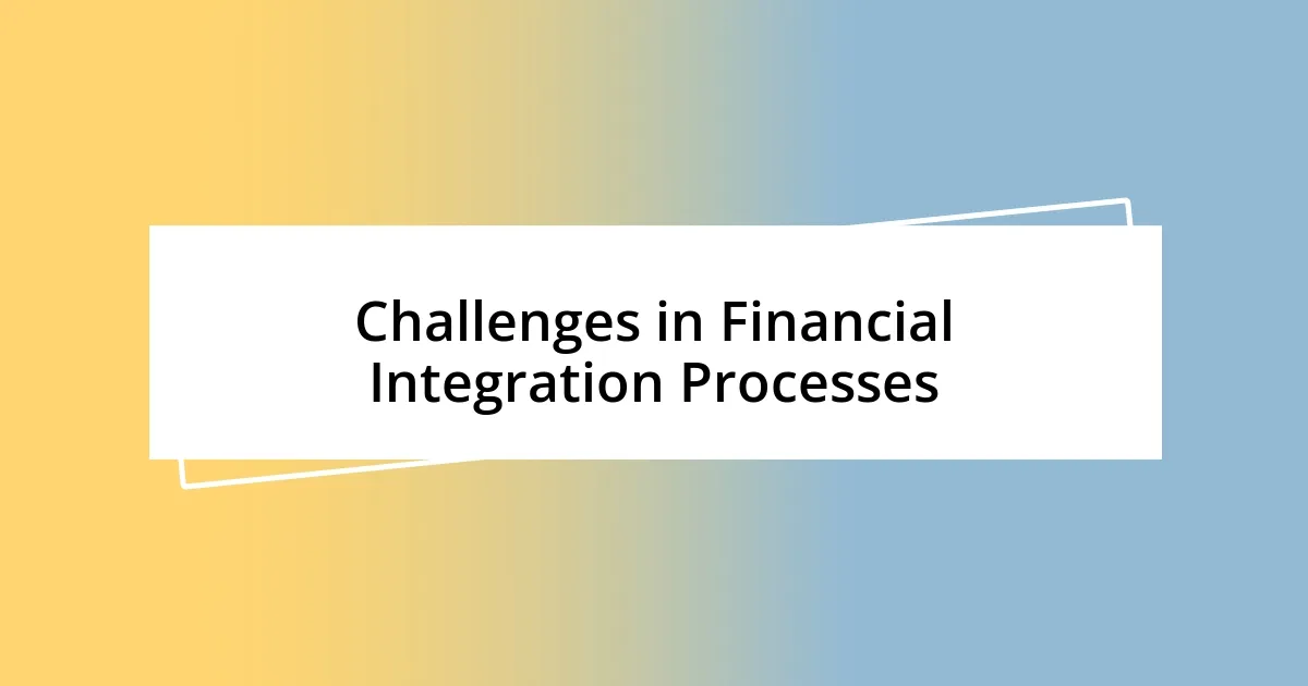 Challenges in Financial Integration Processes