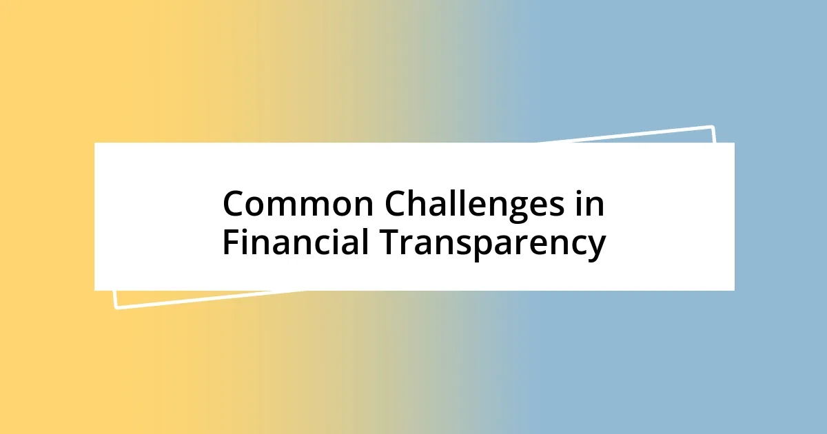 Common Challenges in Financial Transparency