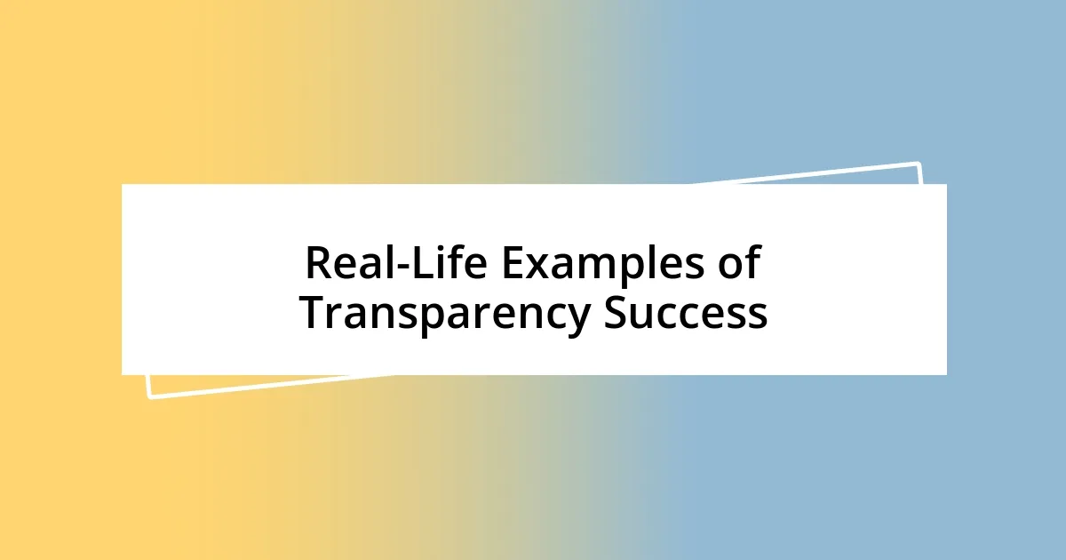 Real-Life Examples of Transparency Success