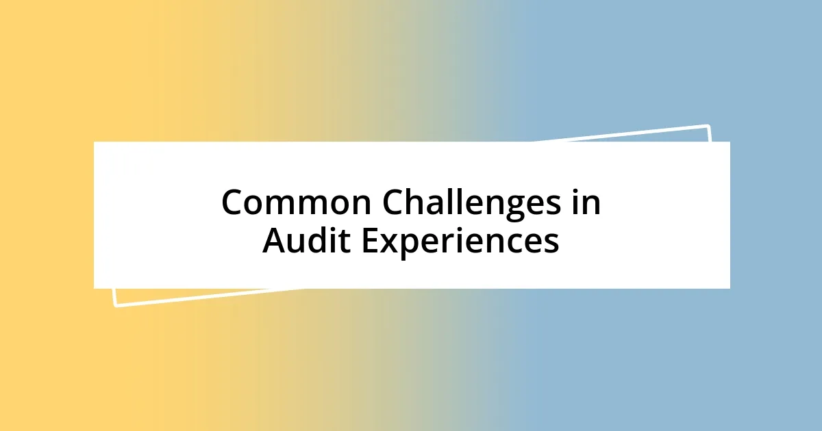 Common Challenges in Audit Experiences